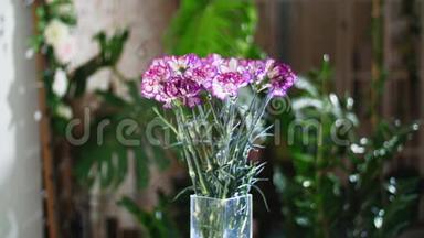 花束在光线的照射下，旋转着，由鲜艳紫色的土耳其石竹组成。 在